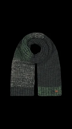 Barts Akotan Scarf green Online