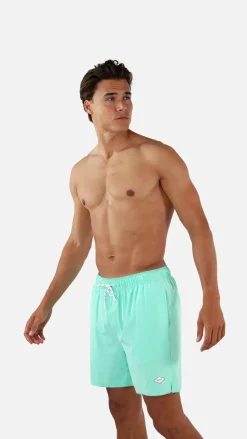 Barts Alroy Shorts light celadon Online