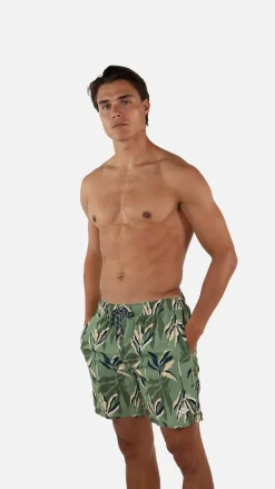 Barts Fervis Shorts khaki Clearance