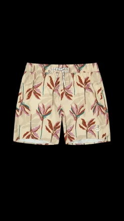 Barts Fervis Shorts cream