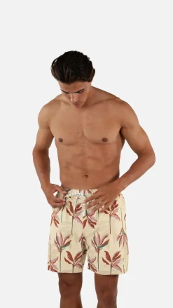Barts Fervis Shorts cream