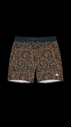 Barts Manip Shorts navy Discount