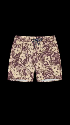 Barts Nillas Shorts prune Outlet