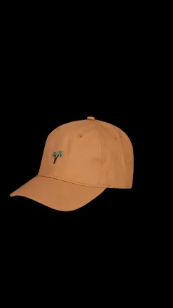 Barts Posse Cap terra Online